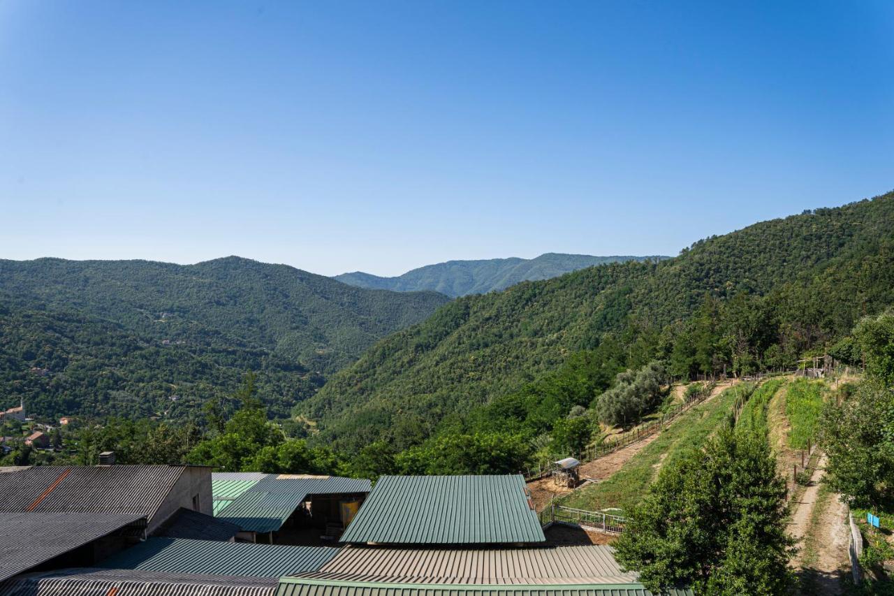 Terisso01234 - Agriturismo La Marpea, Esperienza In Mezzo Alla Natura E Al Cibo Tipico Italiano别墅 外观 照片